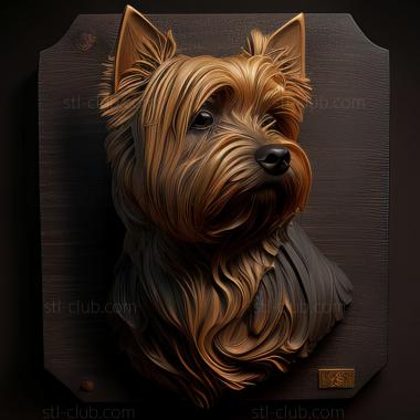 3D model st Australian Silky Terrier dog (STL)